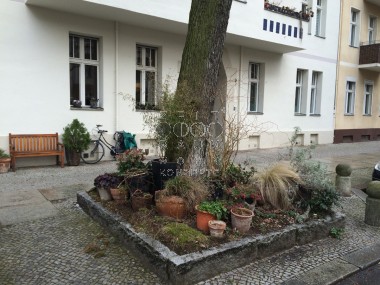 enlarge
