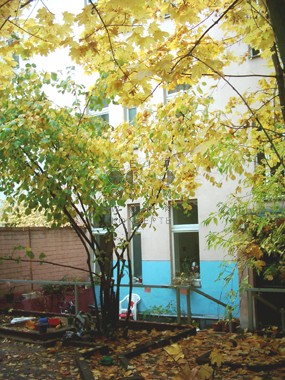 vergrößern