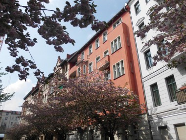 vergrößern