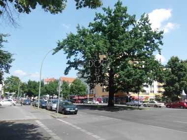 enlarge