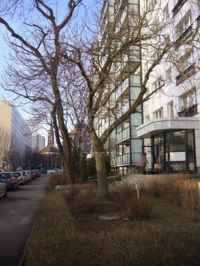 vergrößern