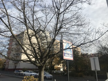 enlarge