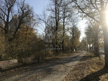 vergrößern