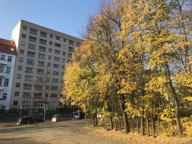vergrößern