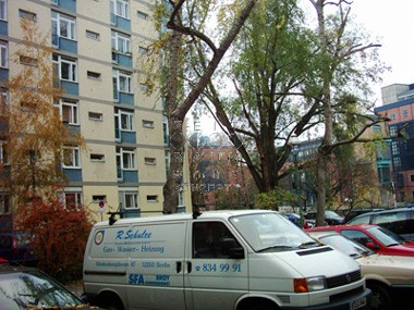 enlarge