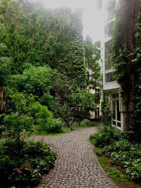 vergrößern