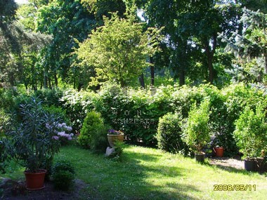 vergrößern