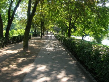 vergrößern