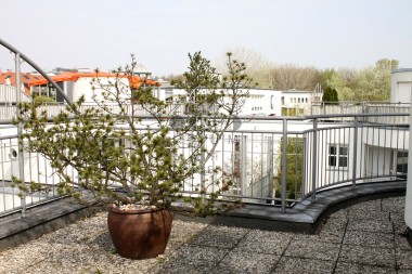 vergrößern