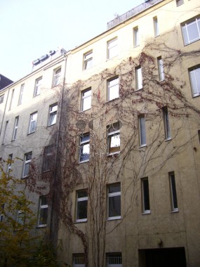 vergrößern