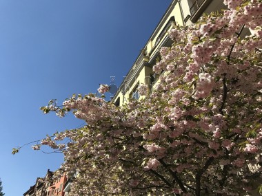 vergrößern