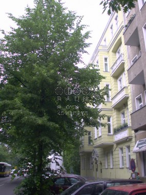 vergrößern