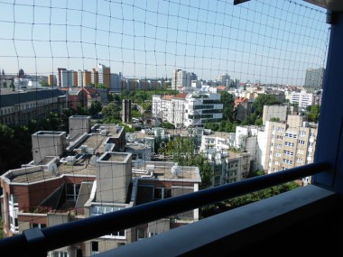 vergrößern