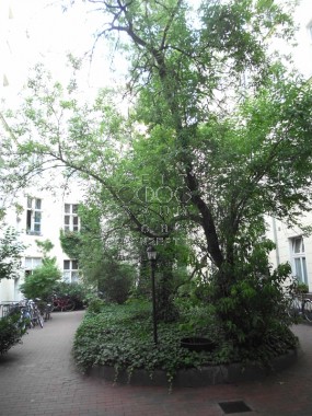 vergrößern