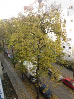 vergrößern