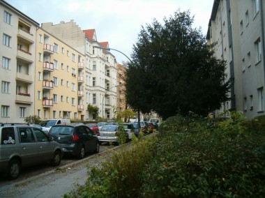 enlarge