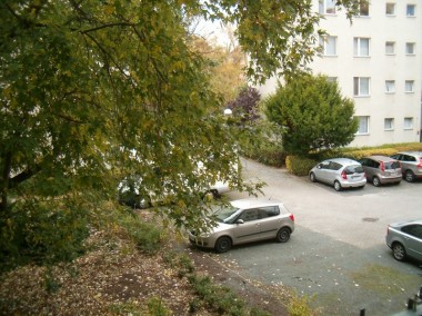 enlarge