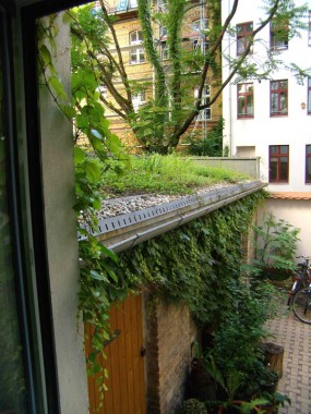vergrößern