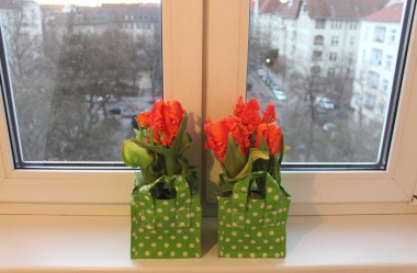 vergrößern