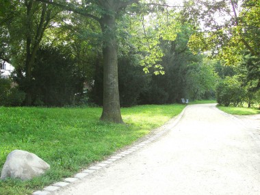 enlarge