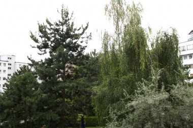 vergrößern